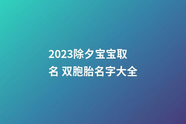 2023除夕宝宝取名 双胞胎名字大全